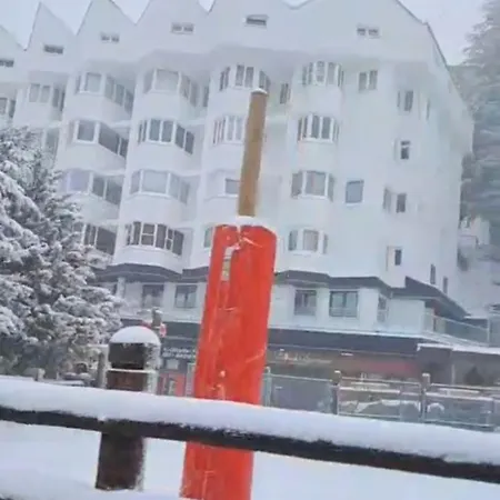 Ameto En La Plaza Pradollano