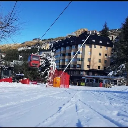 Ameto En La Plaza Pradollano