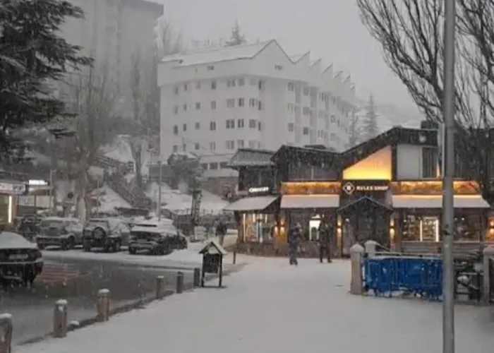 Ameto En La Plaza Pradollano